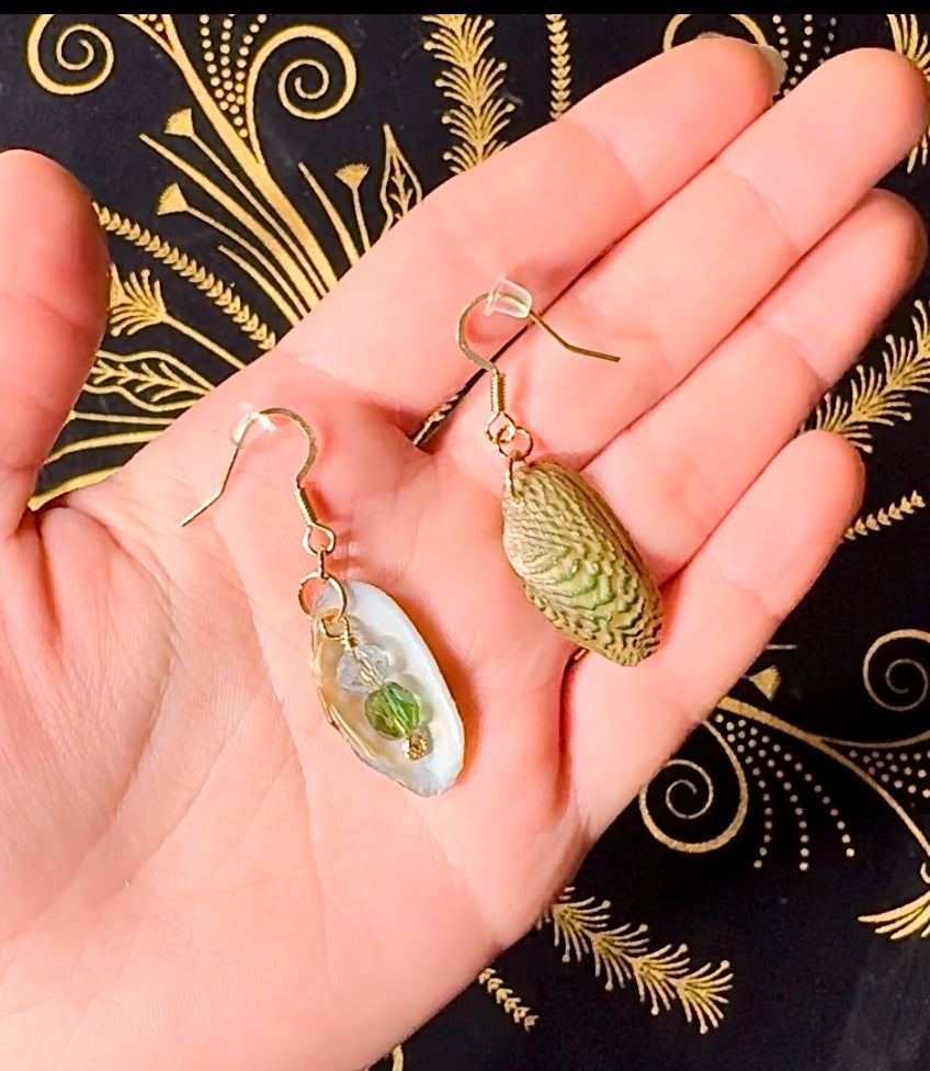 Mussel shell earrings