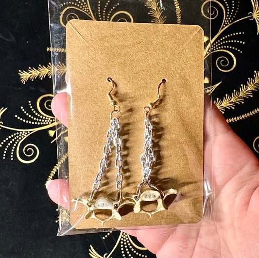 Vertebrae earrings