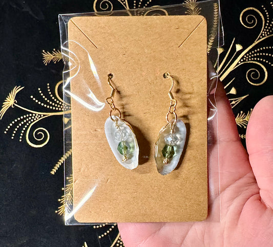 Mussel shell earrings